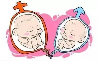 供卵代生网